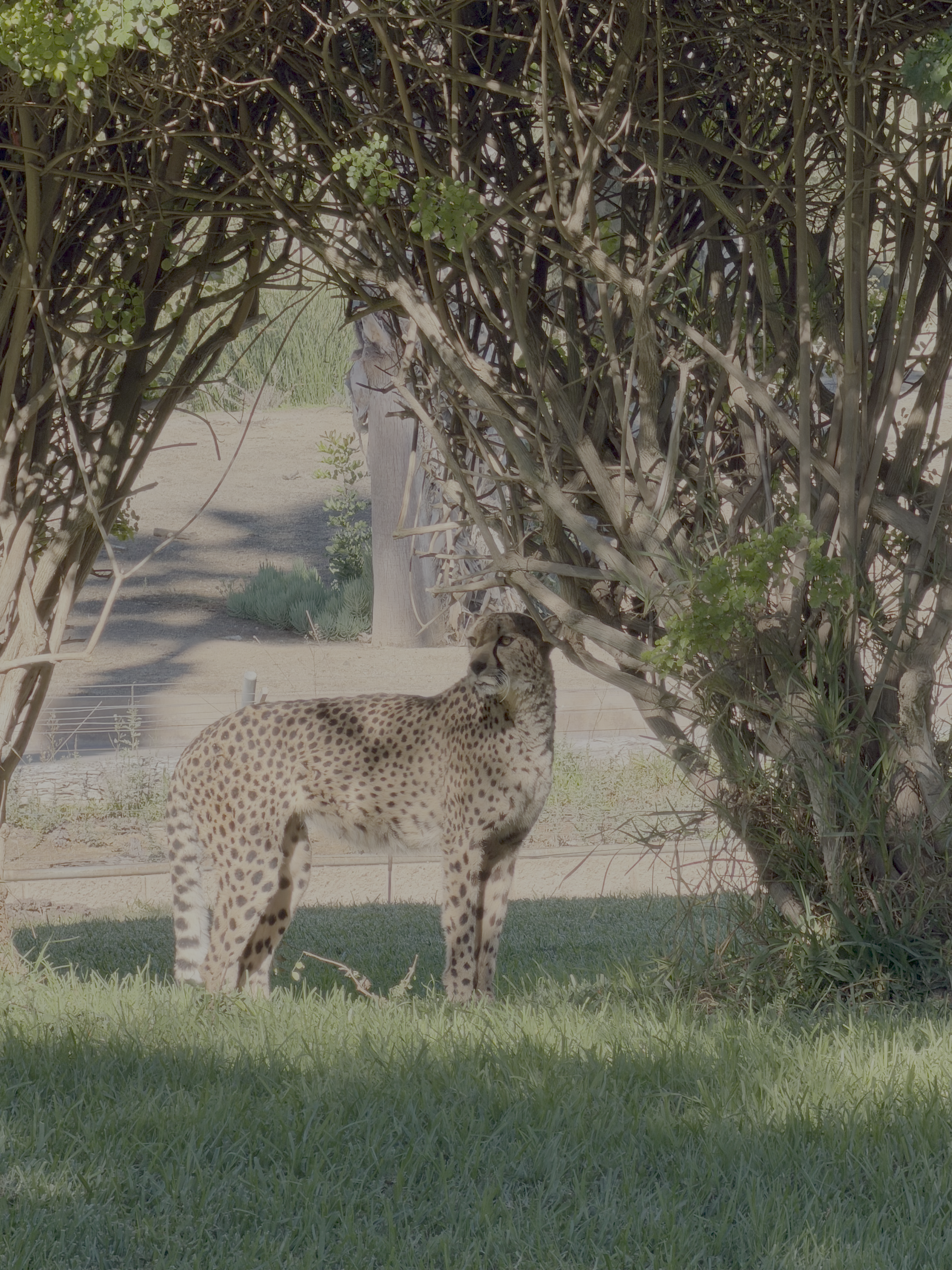 Outside of research photo 3