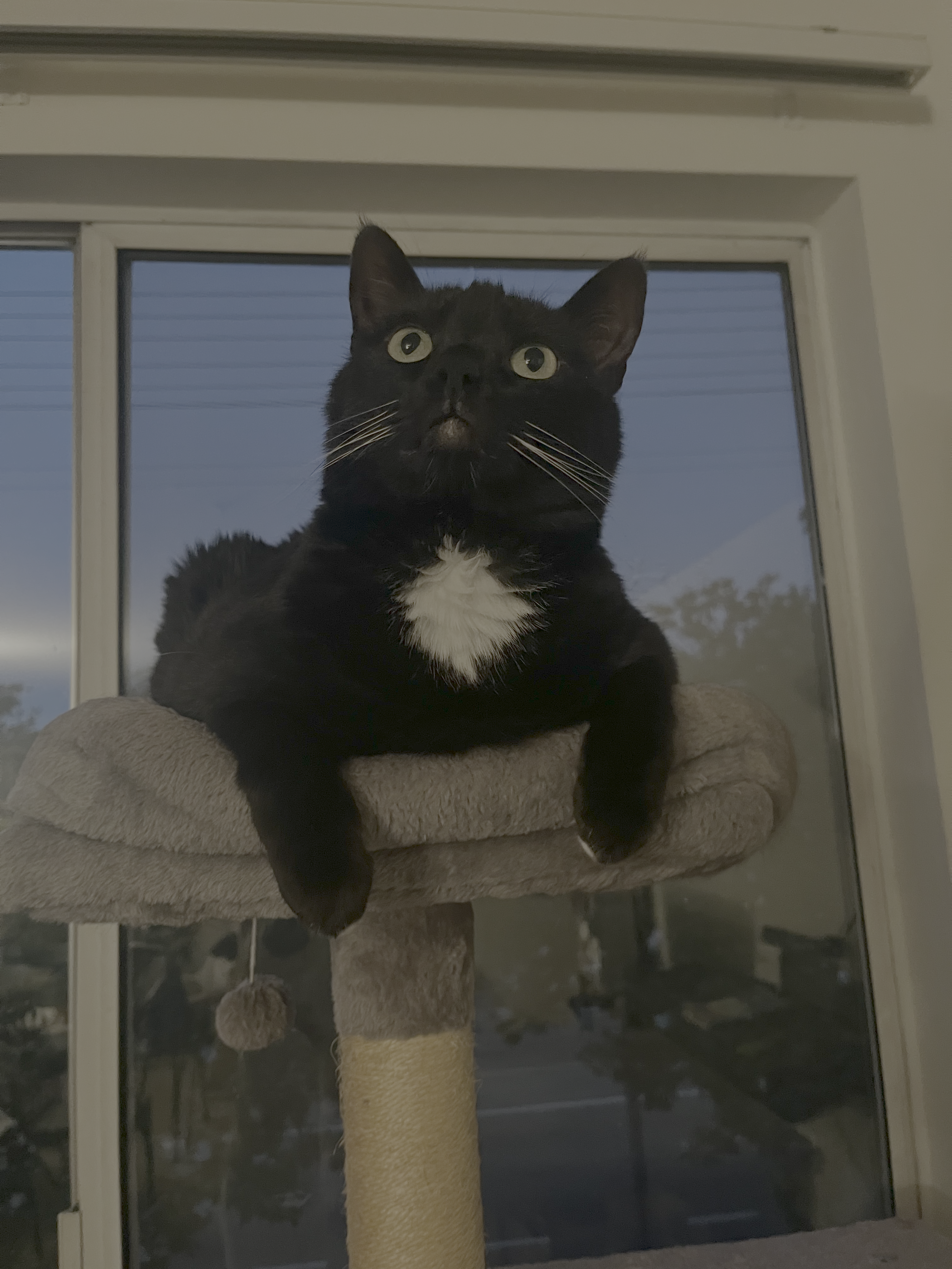 Outside of research photo 1